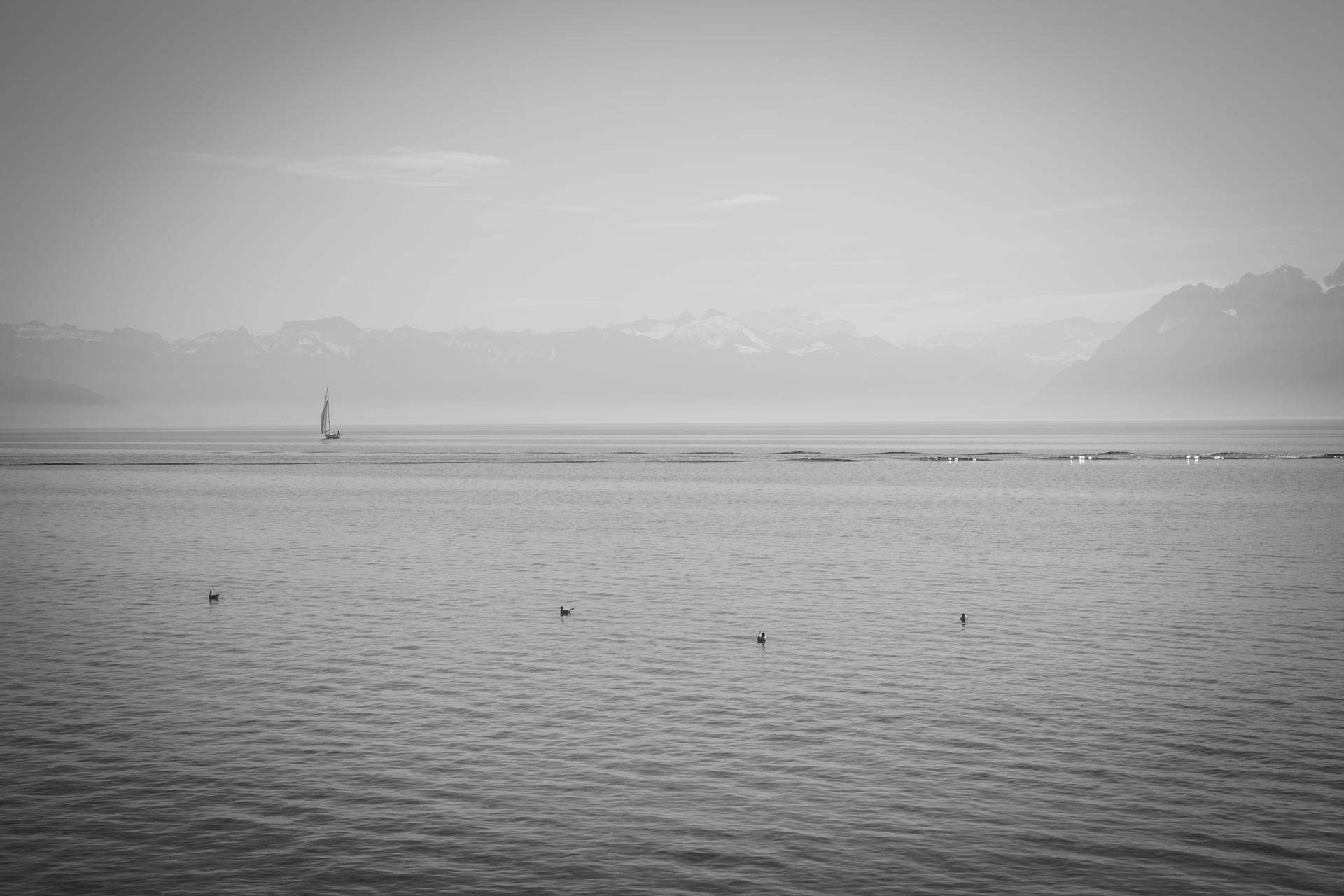 lac léman lausanne